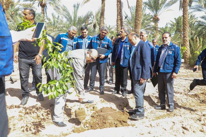 غرس نهال در پارک تفریحی آهنشهر همزمان با بازدید معاون سرمایه‌گذاری و اقتصادی صندوق بازنشستگی کشور