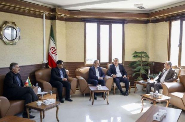 بانک مسکن رکن اصلی تامین مالی در حوزه مسکن/ افزایش توان تسهیلات دهی با سرمایه گذاری هدفمند بخش خصوصی
