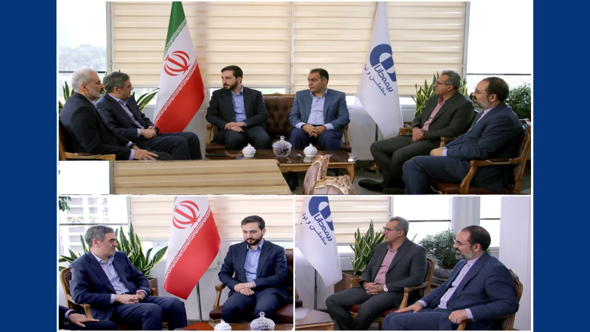 بازدید سرزده رئیس‌كل بیمه مركزی از بیمه دانا