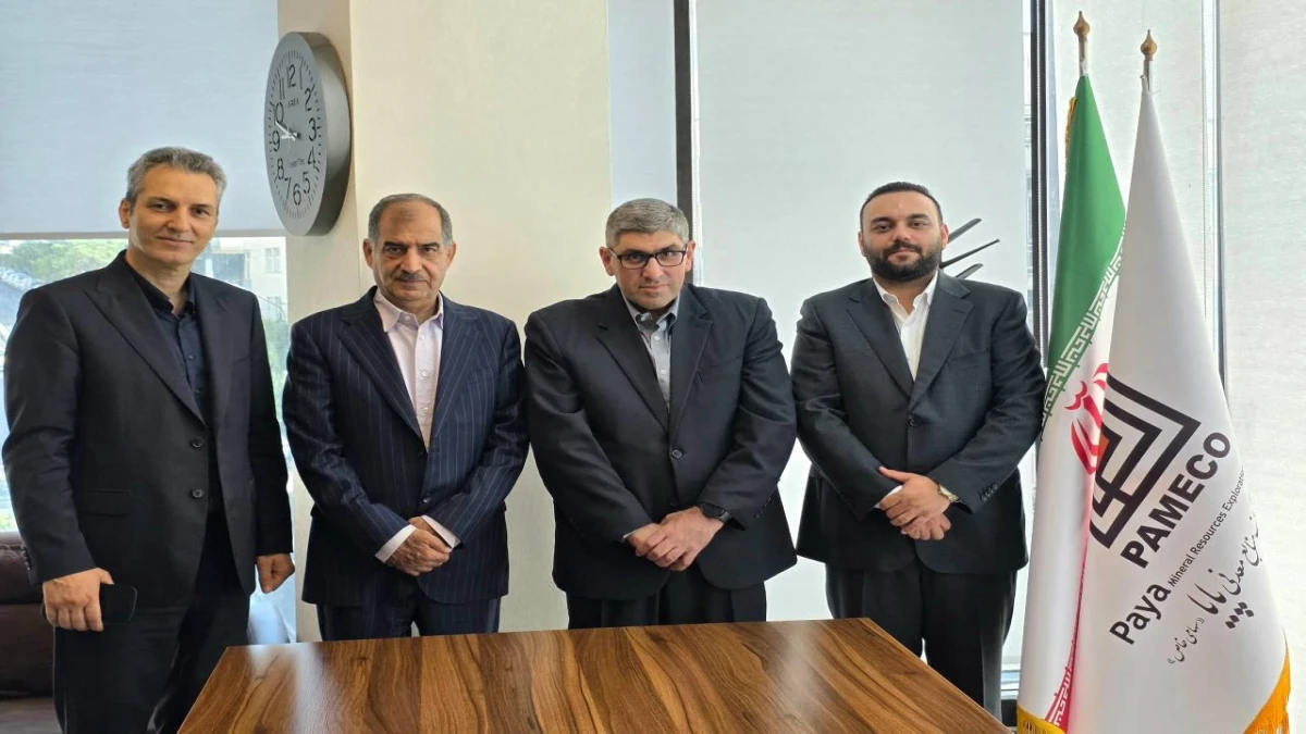 کریتی ثانی سکاندار جدید شرکت پایا شد