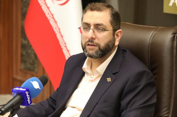 در هم تنیدگی استراتژیک بخش خصوصی و دولتی در مناطق آزاد الگوی موفق مردمی سازی اقتصاد در سطح ملی است
