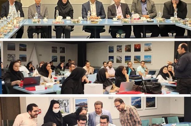 گام بلند بیمه سامان به سوی دیجیتالی شدن با برگزاری دوره علم داده
