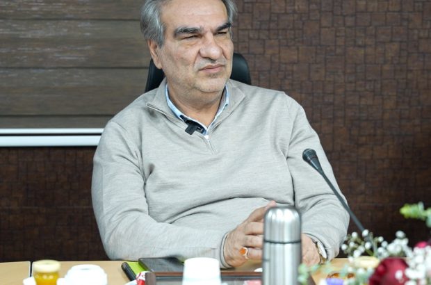 صدیقی‌زاده: با راه‌اندازی هایکو در ماه‌های پیش‌رو به ۱۰۰درصد ظرفیت اسمی می‌رسیم
