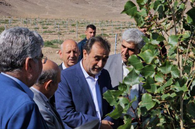 سرمایه گذاری های حوزه کشاورزی منطقه آزاد ماکو افتخارآمیز است
