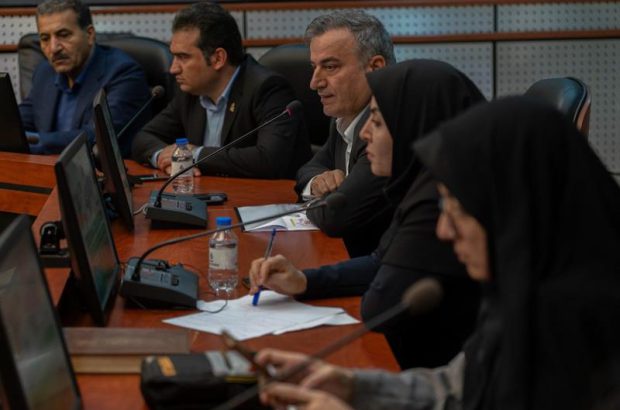 سهم شرکت‌های دانش‌بنیان‌ها از اقتصاد ایران، ۲ درصد است
