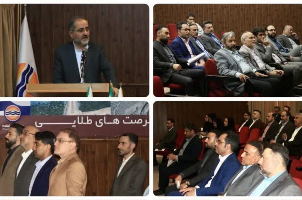 کار سازمانی نیاز به ذهنیت مشترک برای خلق زبان مشترک دارد
