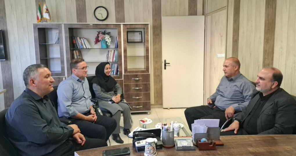 پرتفوی تجمیعی بیمه ای وزارت نیرو" شرکت توزیع برق " زنجان به بیمه دی رسید 