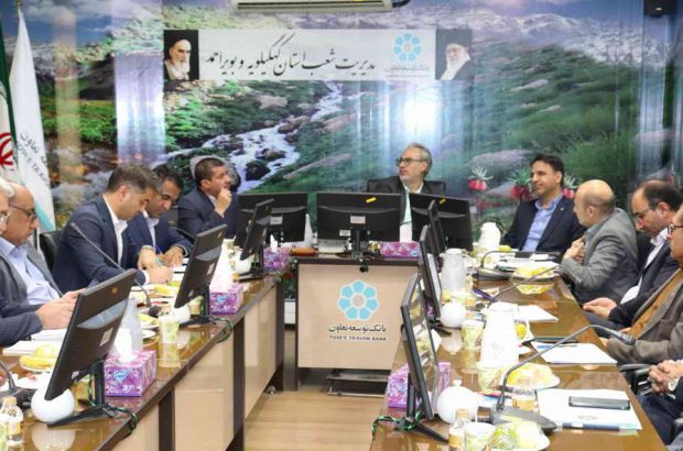 تأثیر بی‌بدیل بانک توسعه تعاون در رونق کسب‌ وکارها
