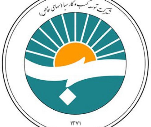 سرپرست هلدینگ توسعه کسب و کار سبا منصوب شد
