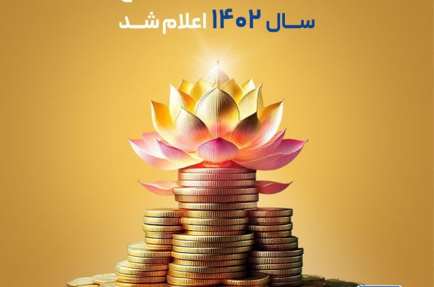 سود مشارکت در منافع سال ۱۴۰۲ اعلام شد
