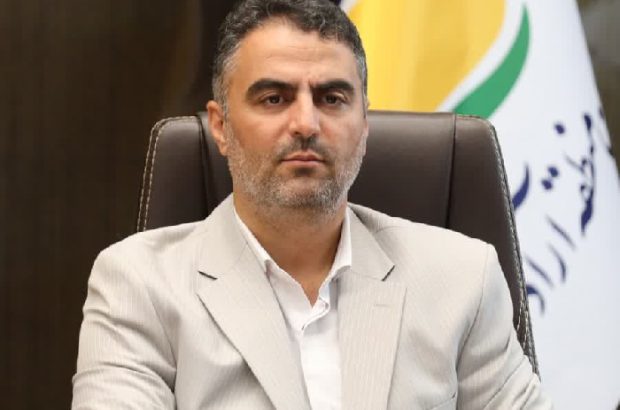 افزایش ۵۱ درصدی تخلیه و بارگیری کشتی در شش ماهه نخست ۱۴۰۲
