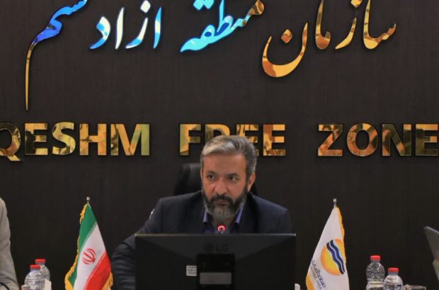 بهسازی سامانه‌های اقتصادی منطقه آزاد قشم در دستور کار
