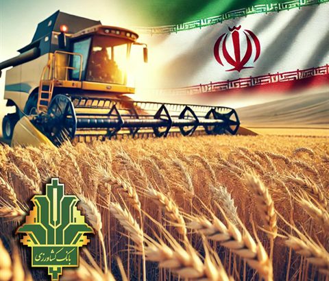 خرید تضمینی ۱۲ میلیون تن گندم با عاملیت بانک کشاورزی
