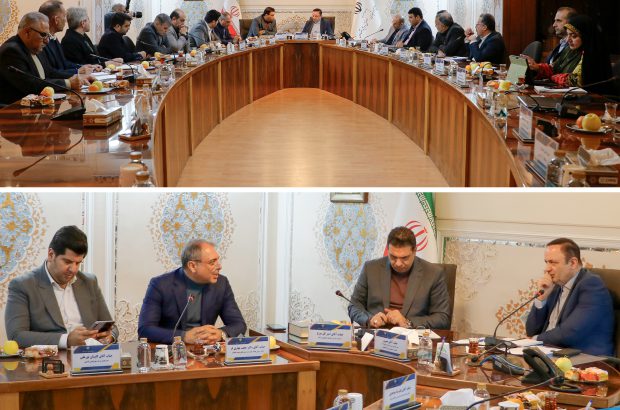 توریسم درمانی ، محور اصلی همکاری شرکت بیمه حکمت صبا و شورای عالی مناطق آزاد
