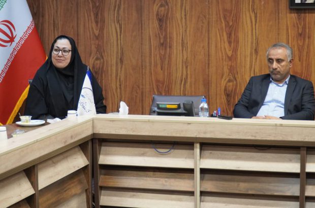 نشست کارکنان روابط عمومی با مدیرعامل پتروشیمی بندر امام
