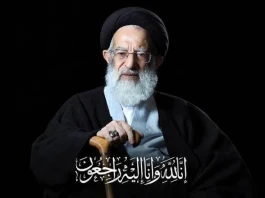 پیام مدیر عامل بیمه ایران به مناسبت ارتحال ملکوتی، حضرت آیت‌الله العظمی حاج سیدموسی شبیری زنجانی